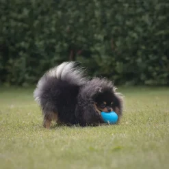Naturligt Hundelegetøj|Aktivitetslegetøj Til Hunde^Trixie Roly Poly Snack æg