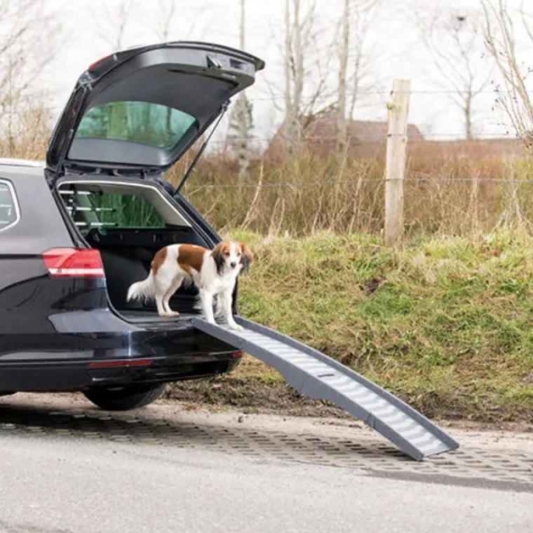 Hundetrapper & Hunderamper|Biltransport Af Hund^Trixie Sammenklappelig Rampe
