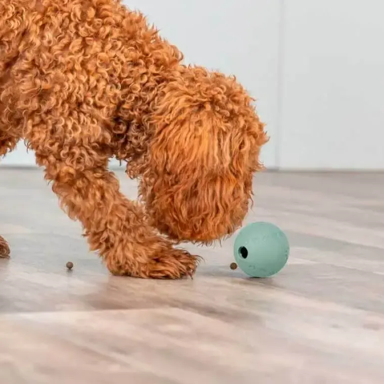 Aktivitetslegetøj Til Hunde|Bolde^Trixie Snack Ball | Labyrint