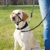 Hundeseler|Hundetræning Og Klikker^Trixie Top Trainer Snudesele