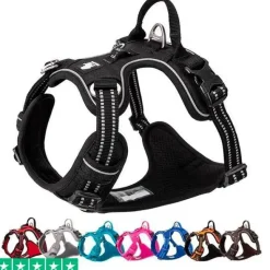 Hundeseler|Hvalpesele Og Hvalpeliner^TrueLove Explosion Proof | LUKSUS Hundesele