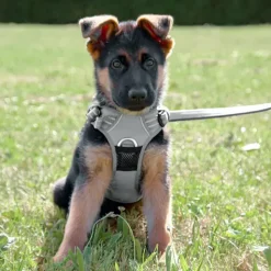 Hundeseler|Hvalpesele Og Hvalpeliner^TrueLove Explosion Proof | LUKSUS Hundesele
