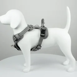Hundeseler|Hvalpesele Og Hvalpeliner^TrueLove Explosion Proof | LUKSUS Hundesele