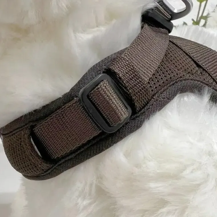 Hundeseler|Hundeferien^TrueLove Letvægt Step in sele | Mokka