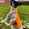 Løbeturen|Led Lys Og Refleks^TrueLove Refleksvest