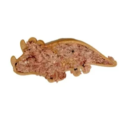 Godbidder Og Gnaveben^Flamingo Vegetar Snack Dino | Large | 1stk.