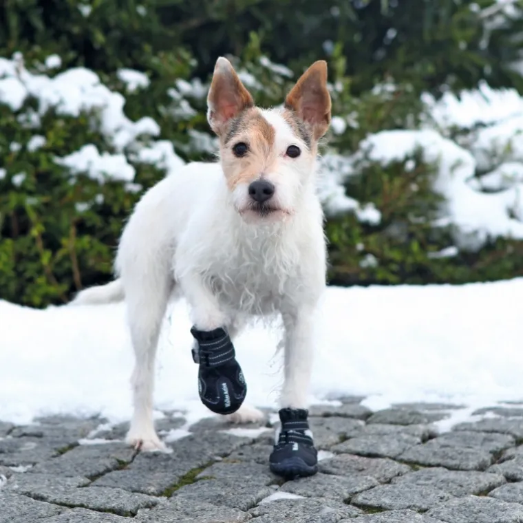 ❄️Klar Til Vintervejret|Efterårsklar^Trixie Walker Active Protective boots | hundestøvler 2 stk.