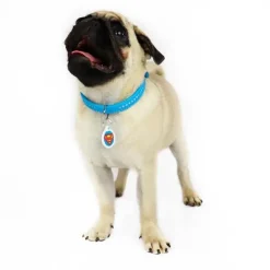 Hundehalsbånd^Collar/WauDog WauDog Glamour Halsbånd | OUTLET