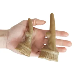 Godbidder Og Gnaveben^Whimzees Antler 1 stk
