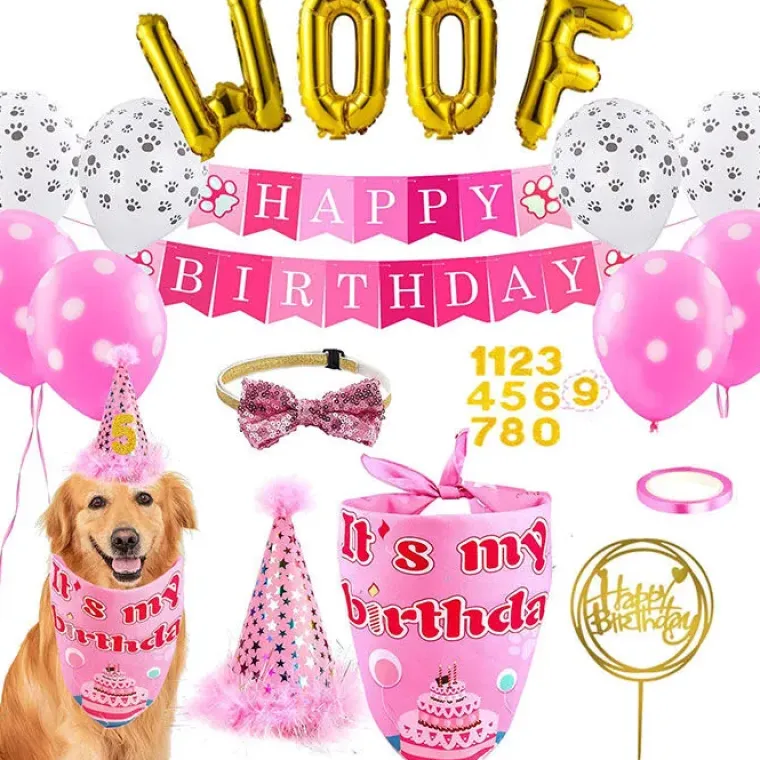 Hundefødselsdag|Lyserøde Favoritter^Ollipet WOOF fødselsdagspakke PINK