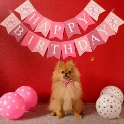 Hundefødselsdag|Lyserøde Favoritter^Ollipet WOOF fødselsdagspakke PINK