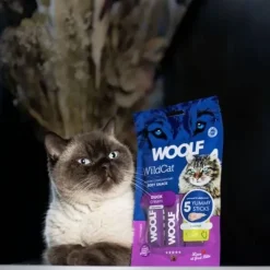 Godbidder^WOOLF Wildcat Cream Godbid | 5 Sticks