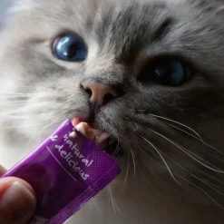 Godbidder^WOOLF Wildcat Cream Godbid | 5 Sticks
