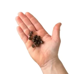 Godbidder^WOOLF WildCat Semi-Moist Godbidder | 50g