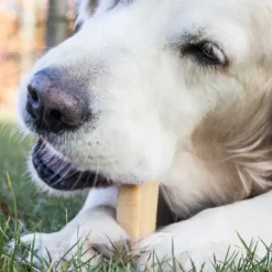 Hvalpegodbidder Og Gnaveben|Nytårskurven^Yaki dog snacks Yaki Tyggeben