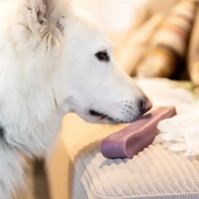 Godbidder Og Gnaveben^Yaki dog snacks Yaki Tyggeben | Blåbær