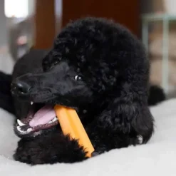 Godbidder Og Gnaveben^Yaki dog snacks Yaki Tyggeben | Gulerod