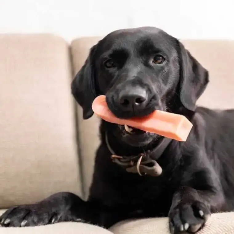 Lyserøde Favoritter|Godbidder Og Gnaveben^Yaki dog snacks Yaki Tyggeben | Jordbær