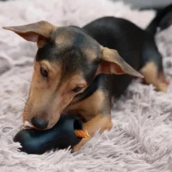 Aktivitetslegetøj Til Hunde|Hundelegetøj Uden Piv^Zeus Chewchasers Treat Peanut